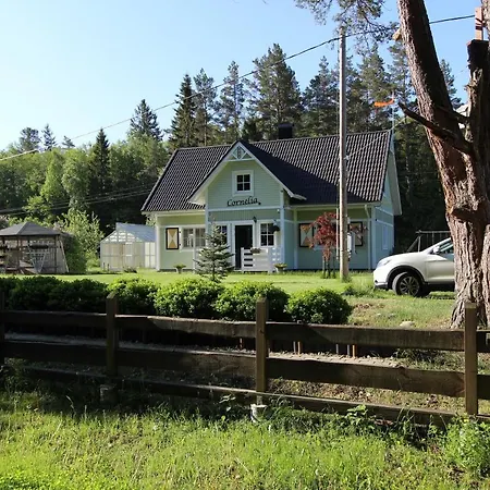 Country Cornelia Puhkemaja